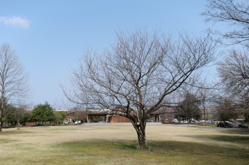 R0033944.JPG