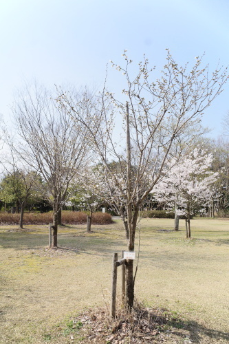 R0033952.JPG