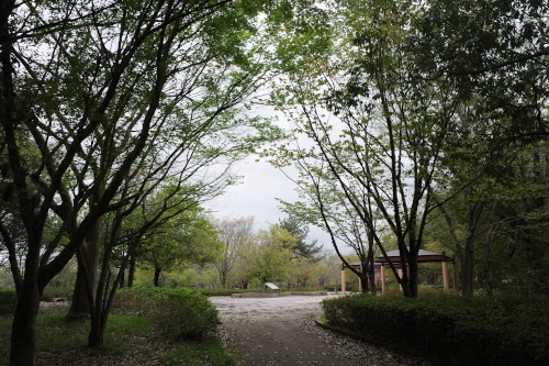 R0034240.JPG