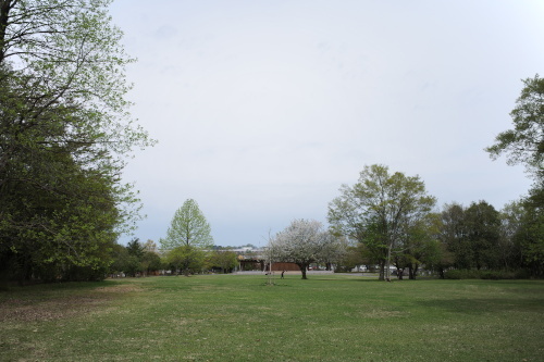 R0034323.JPG