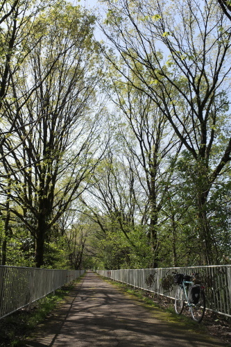 R0034381.JPG