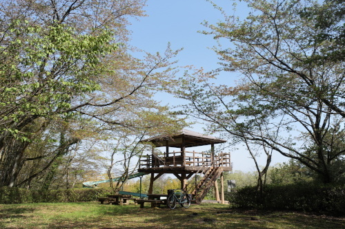 R0034395.JPG