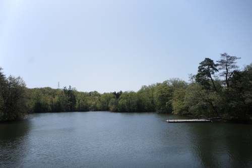 R0034483.JPG