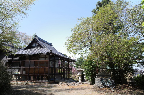 R0034509.JPG