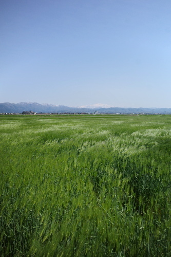 R0034633.JPG