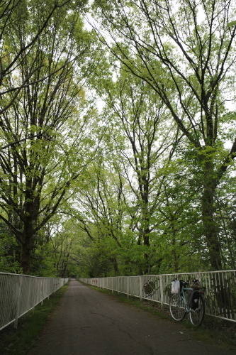 R0034692.JPG