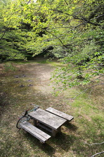 R0034763.JPG