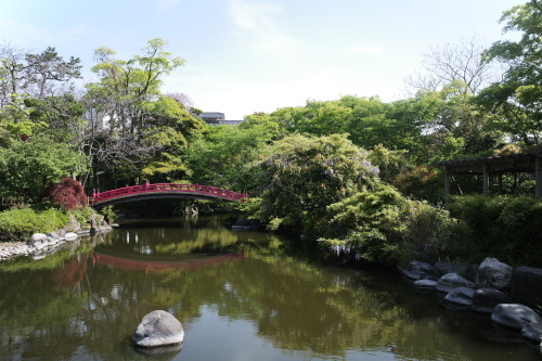 R0034952.JPG