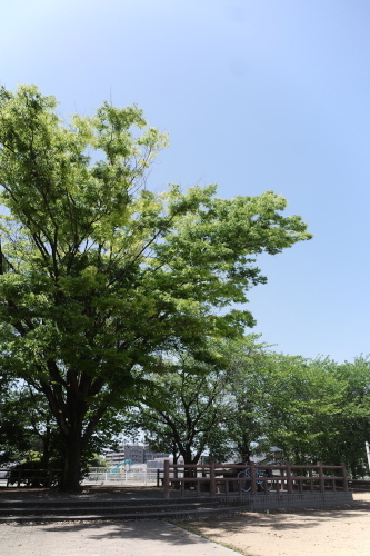 R0035063.JPG