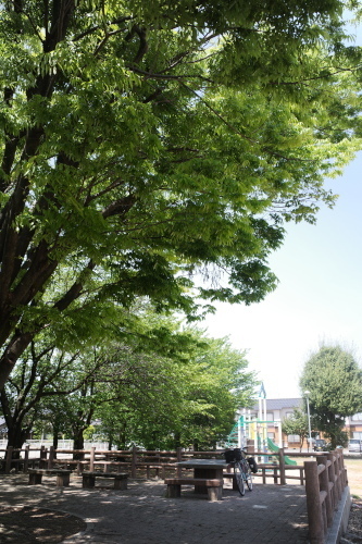 R0035066.JPG