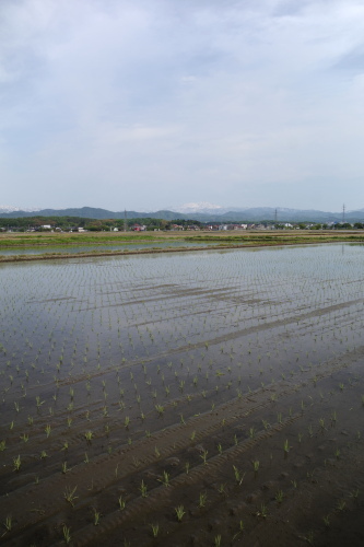 R0035093.JPG