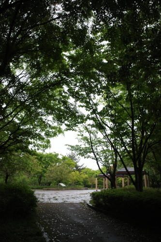 R0035102.JPG