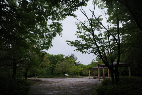 R0035296.JPG