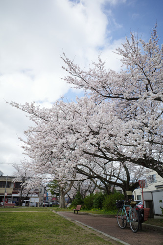 R0036734.jpg