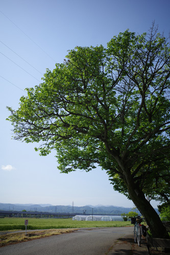 R0038153.jpg