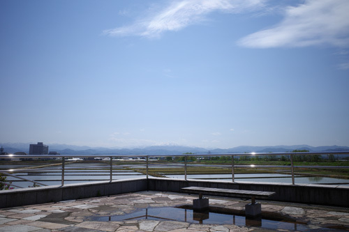 R0038204.jpg