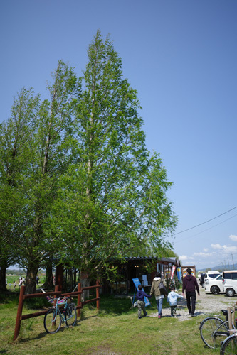R0038357.jpg