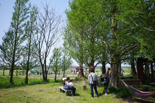 R0038371.jpg