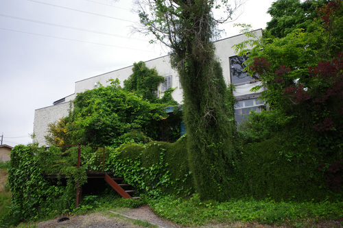 R0038418.jpg
