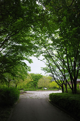 R0038423.jpg