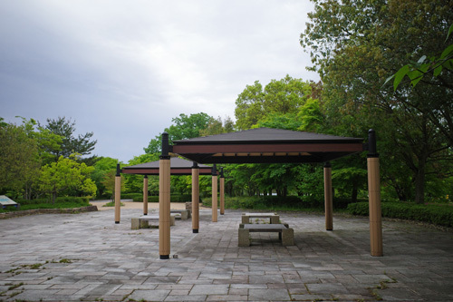 R0038426.jpg