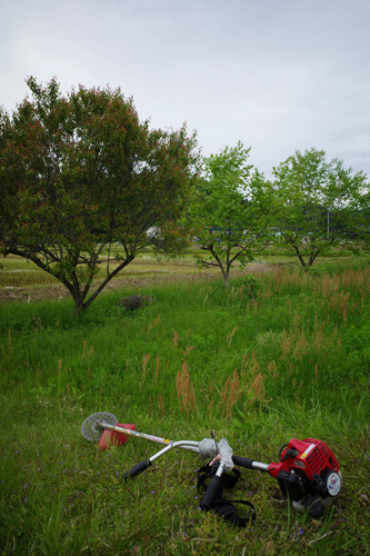R0038476.jpg