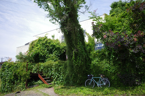R0039709.jpg