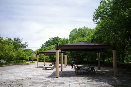 R0039713.jpg