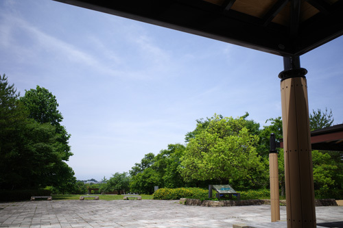 R0039755.jpg