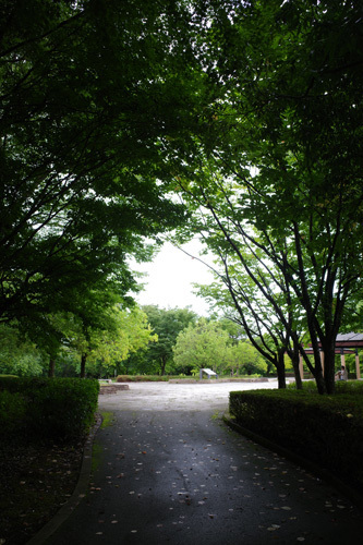 R0040640.jpg