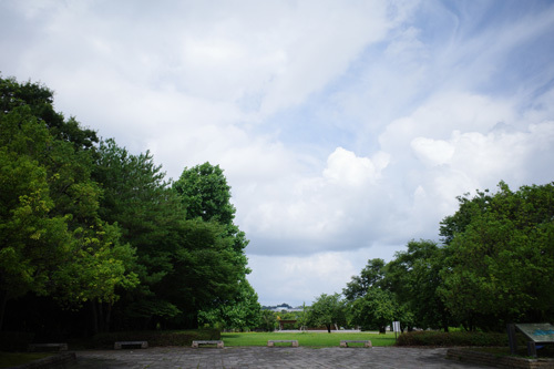R0040676.jpg