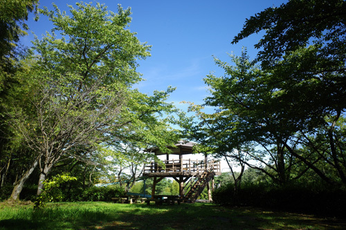 R0042514.jpg