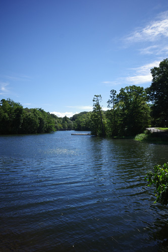 R0042555.jpg