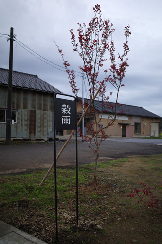 R0046962.jpg