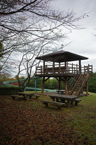 R0046976.jpg