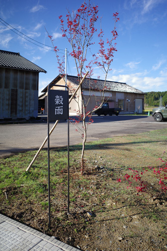 R0047139.jpg