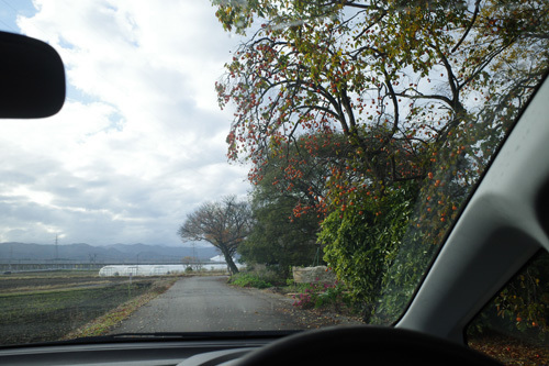 R0047246.jpg