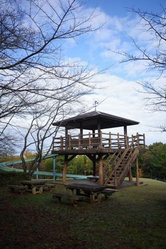 R0047259.jpg