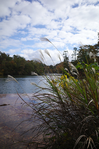 R0047299.jpg