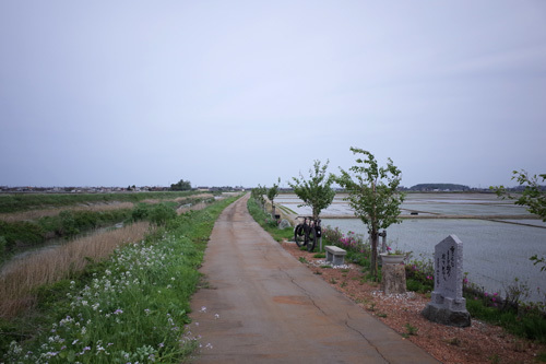 R0150559.jpg
