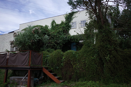 R0153259.jpg