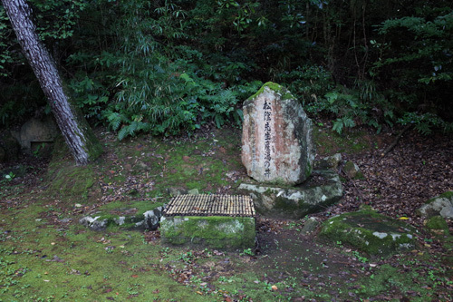 R0153883.jpg