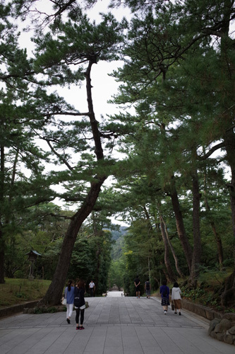 R0154472.jpg