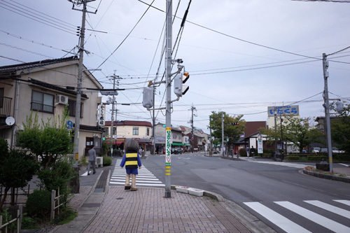 R0154779.jpg