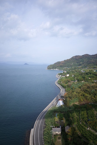 R0156639.jpg