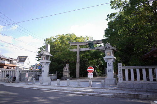 R0156855.jpg