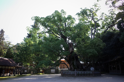 R0156866.jpg