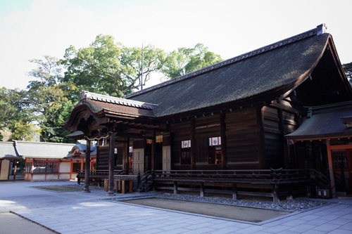 R0156877.jpg