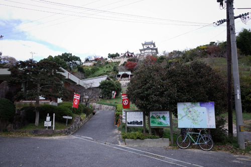 R0156965.jpg