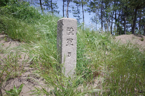 R0160081.jpg